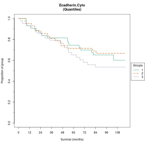 Ecadherin.Cyto (Kaplan-Meier (tertile) plots on Breast Cancer 1 (AQUA) dataset)