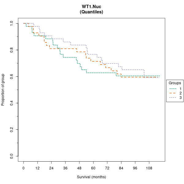 WT1.Nuc (Kaplan-Meier (tertile) plots on Breast Cancer 1 (AQUA) dataset)