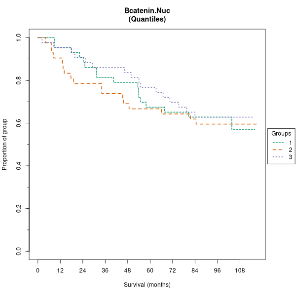 Bcatenin.Nuc (Kaplan-Meier (tertile) plots on Breast Cancer 1 (AQUA) dataset)