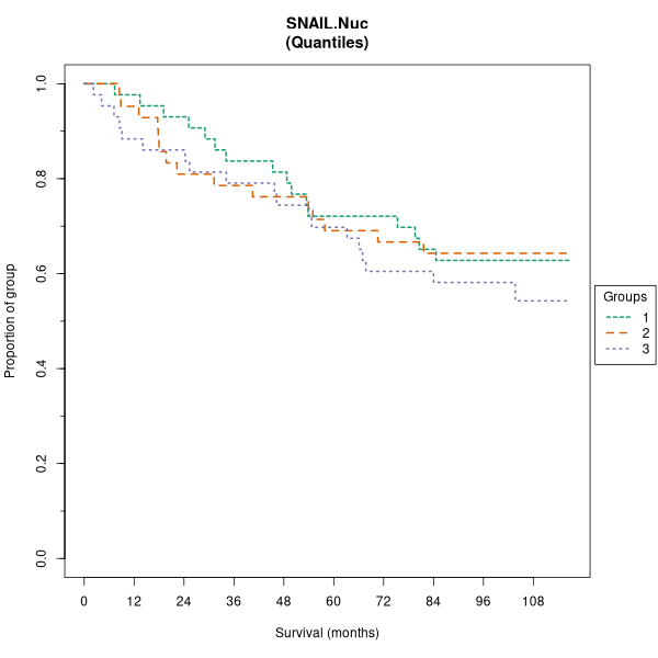 SNAIL.Nuc (Kaplan-Meier (tertile) plots on Breast Cancer 1 (AQUA) dataset)