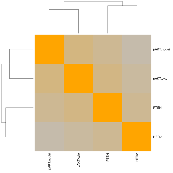 Heatmap (Marker heatmap on Breast Cancer 3 (IHC quickscore) dataset)