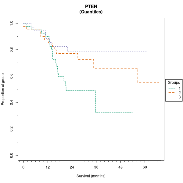 PTEN (Kaplan-Meier (tertile) plots on Breast Cancer 3 (IHC quickscore) dataset)