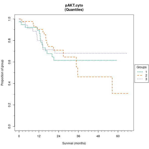 pAKT.cyto (Kaplan-Meier (tertile) plots on Breast Cancer 3 (IHC quickscore) dataset)