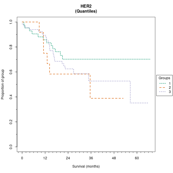 HER2 (Kaplan-Meier (tertile) plots on Breast Cancer 3 (IHC quickscore) dataset)