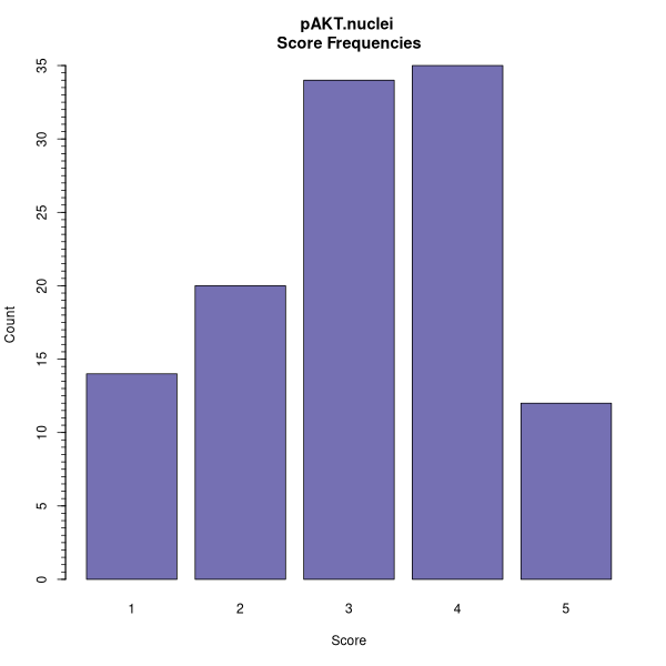 pAKT.nuclei (Histograms on Breast Cancer 3 (IHC, 5 levels) dataset)