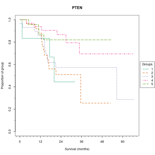 PTEN (Kaplan-Meier (categorical) plots on Breast Cancer 3 (IHC, 5 levels) dataset)