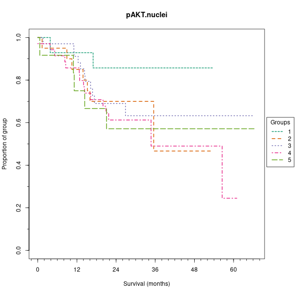 pAKT.nuclei (Kaplan-Meier (categorical) plots on Breast Cancer 3 (IHC, 5 levels) dataset)